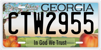 GA license plate CTW2955