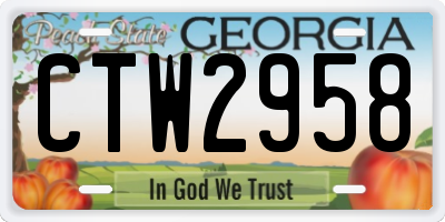 GA license plate CTW2958