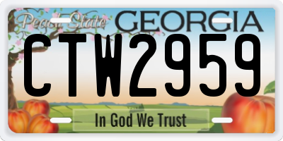 GA license plate CTW2959