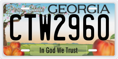 GA license plate CTW2960