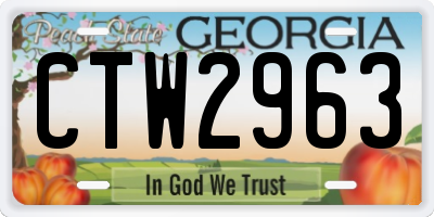 GA license plate CTW2963