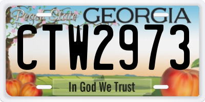 GA license plate CTW2973