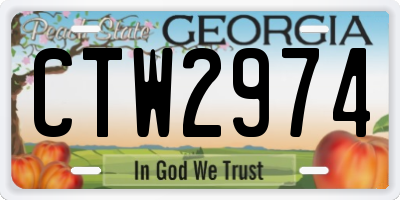 GA license plate CTW2974