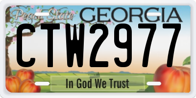GA license plate CTW2977