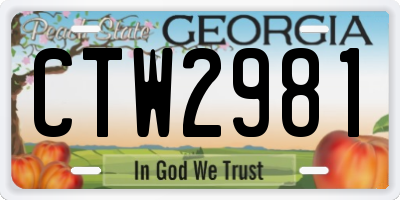 GA license plate CTW2981