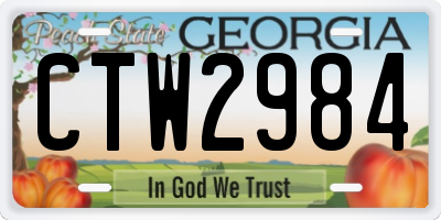 GA license plate CTW2984