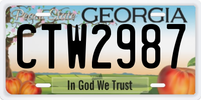 GA license plate CTW2987