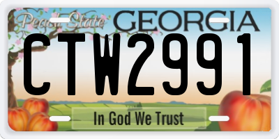 GA license plate CTW2991