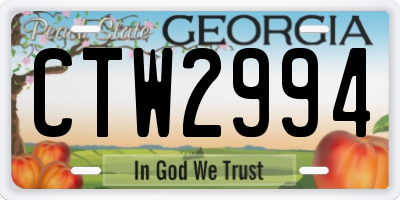 GA license plate CTW2994