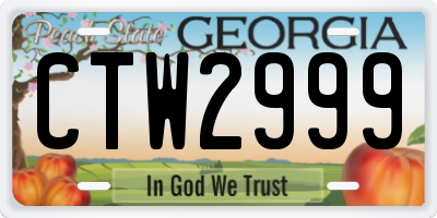GA license plate CTW2999