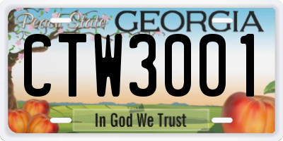 GA license plate CTW3001
