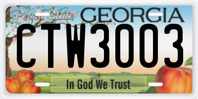 GA license plate CTW3003