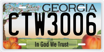 GA license plate CTW3006