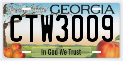 GA license plate CTW3009