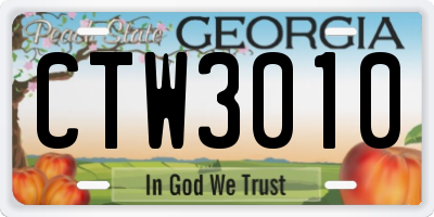 GA license plate CTW3010