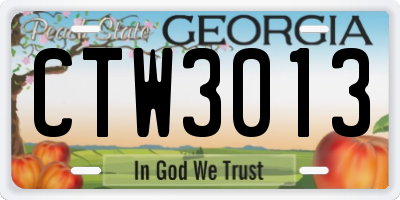 GA license plate CTW3013