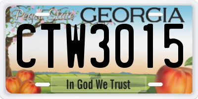 GA license plate CTW3015
