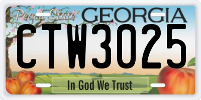 GA license plate CTW3025