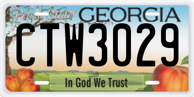 GA license plate CTW3029