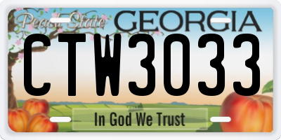 GA license plate CTW3033