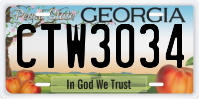 GA license plate CTW3034
