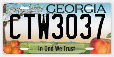 GA license plate CTW3037