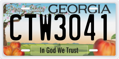 GA license plate CTW3041