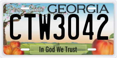 GA license plate CTW3042