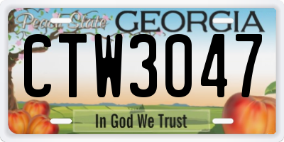GA license plate CTW3047