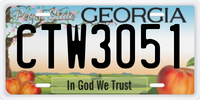 GA license plate CTW3051