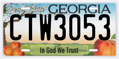 GA license plate CTW3053