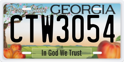 GA license plate CTW3054