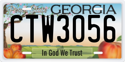 GA license plate CTW3056