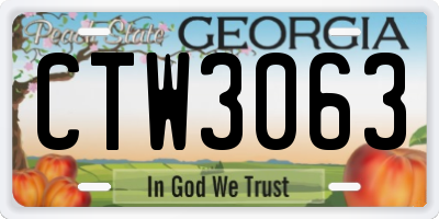 GA license plate CTW3063