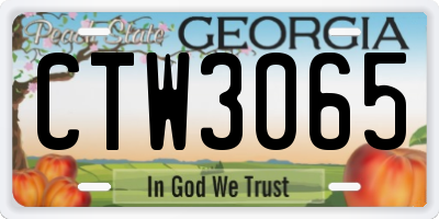 GA license plate CTW3065