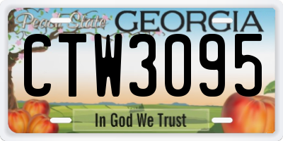 GA license plate CTW3095