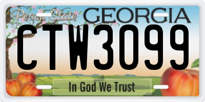 GA license plate CTW3099