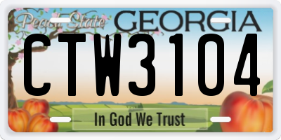GA license plate CTW3104