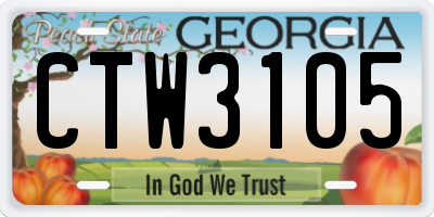 GA license plate CTW3105
