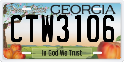 GA license plate CTW3106