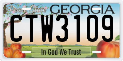 GA license plate CTW3109