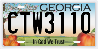 GA license plate CTW3110