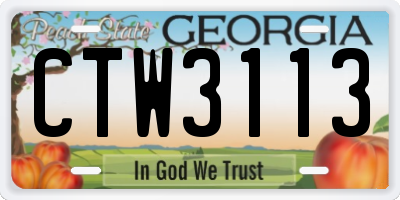 GA license plate CTW3113