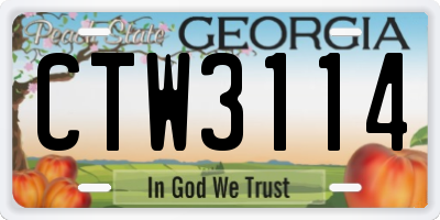 GA license plate CTW3114