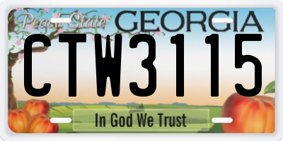 GA license plate CTW3115