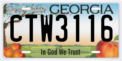 GA license plate CTW3116