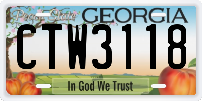 GA license plate CTW3118