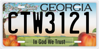 GA license plate CTW3121