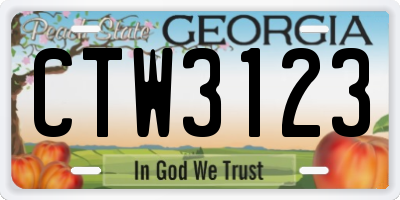 GA license plate CTW3123