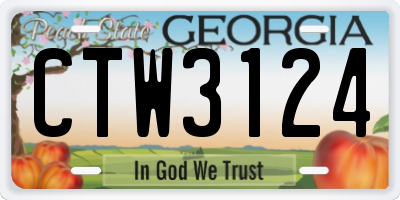 GA license plate CTW3124